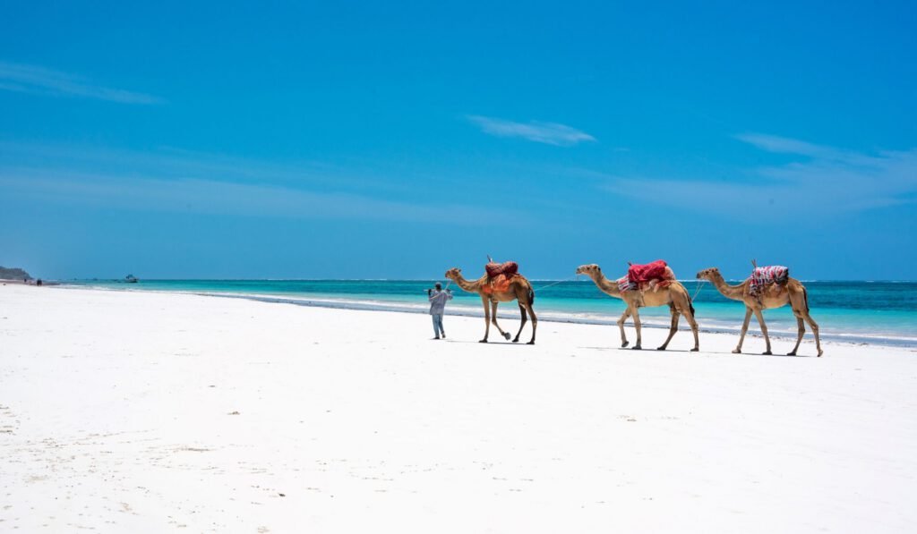 Bush & Beach Kenya safari tours