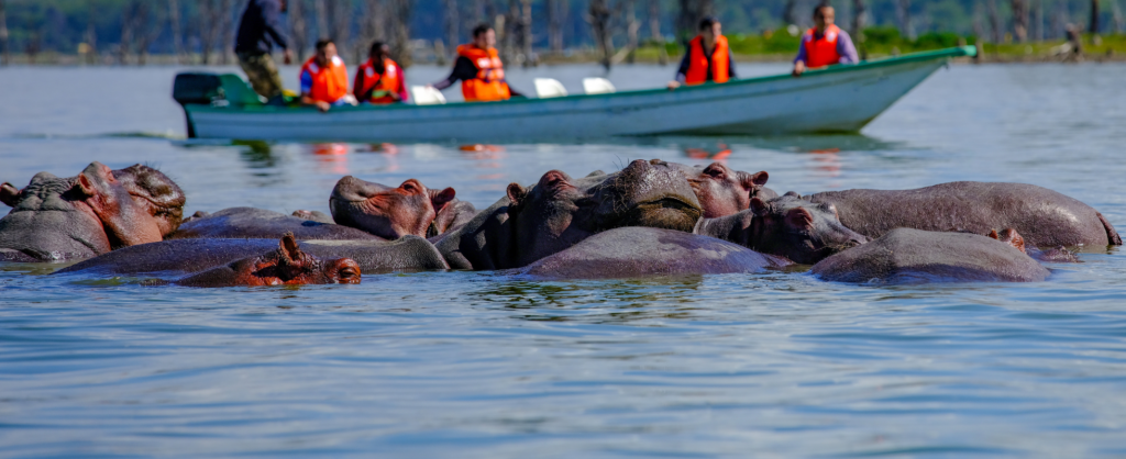 Lake Naivasha boat safari