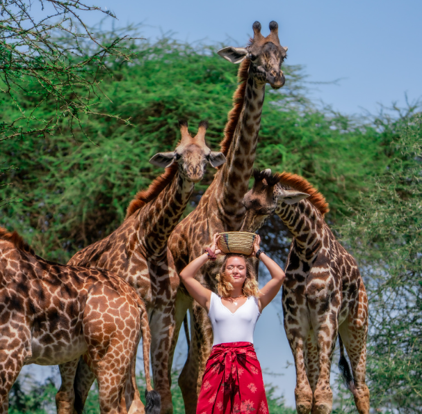 giraffe