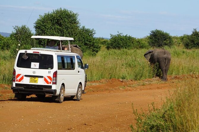 Mara Ways Tours & Travel