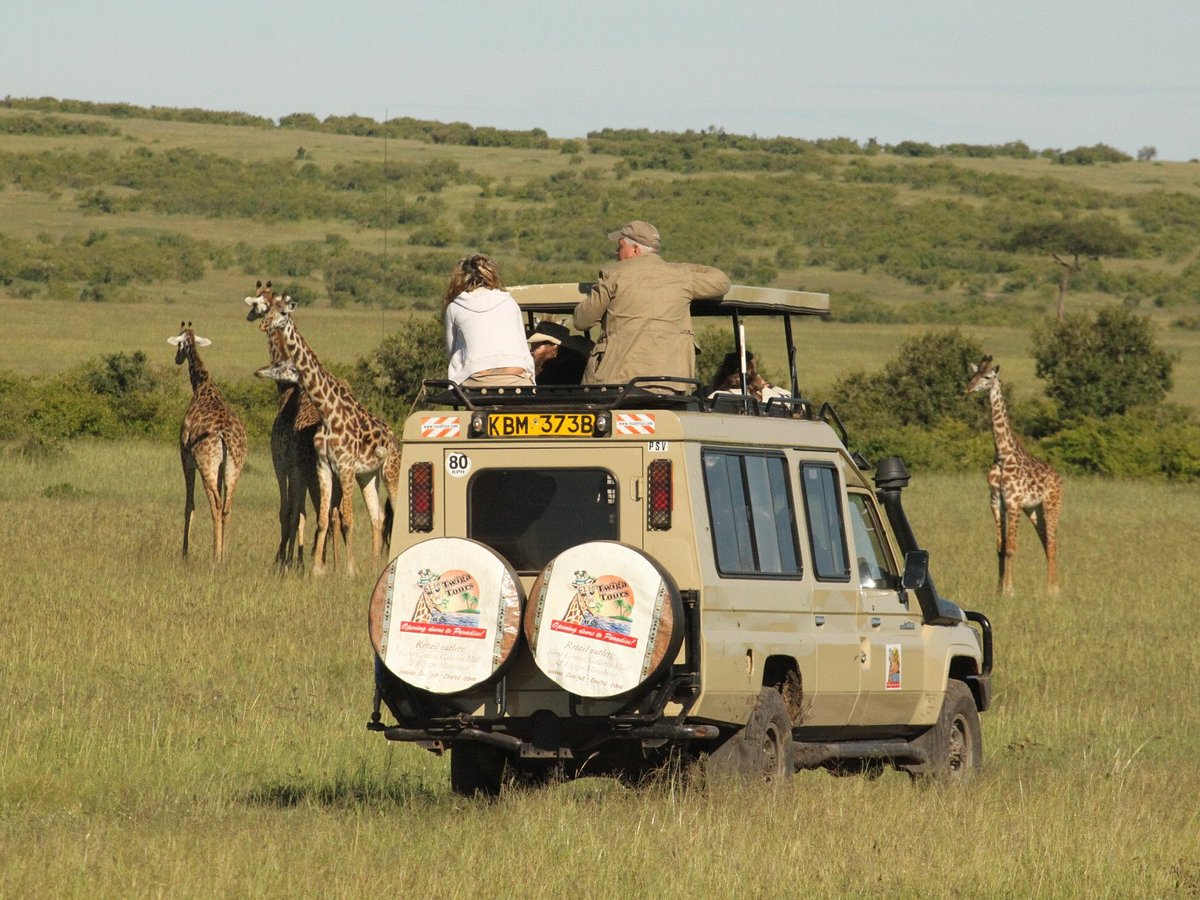 Twiga Tours