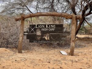 Lion King Bush Camp