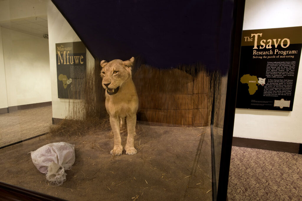 Man Eaters Tsavo