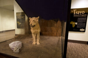 Man Eaters Tsavo