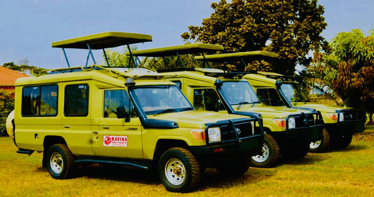 Ravina Fleet