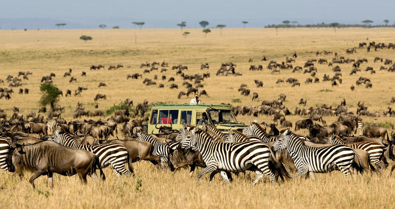 2 week safari, 2 week kenya and tanzania safari, best safari in africa, best destinationations in africa, how much does a 2 week african safari cost