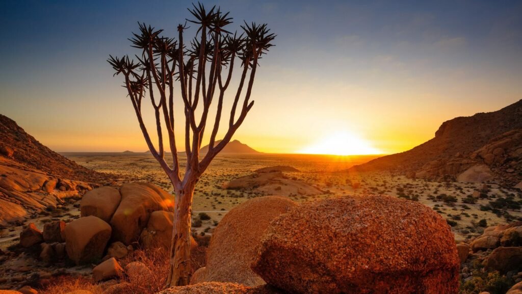 Damaraland