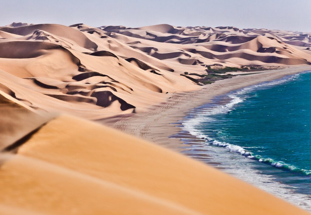 The Skeleton Coast