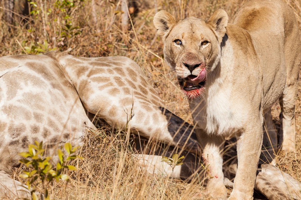 Discover Uganda