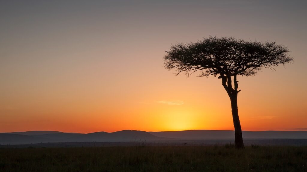 Kenyas landscapes