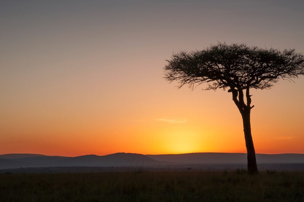 Kenyas landscapes