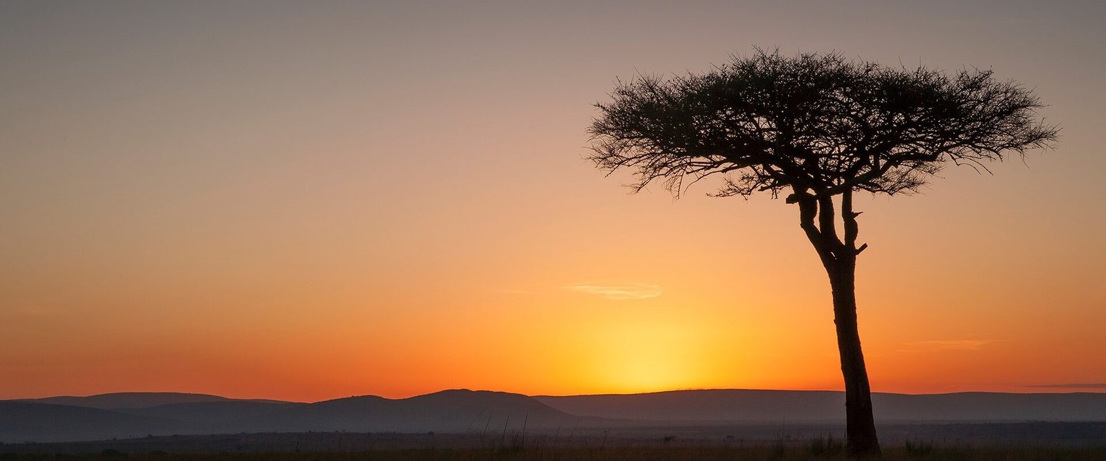 Kenyas landscapes