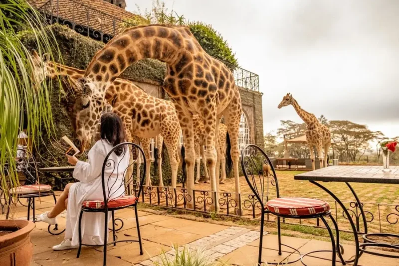 Giraffe Manor Nairobi