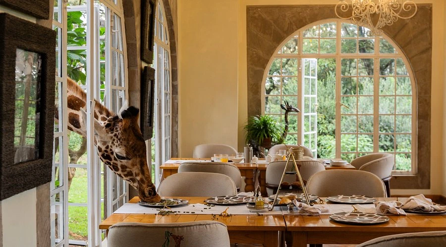 Giraffe Manor