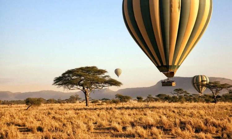 Hot air balloon safaris