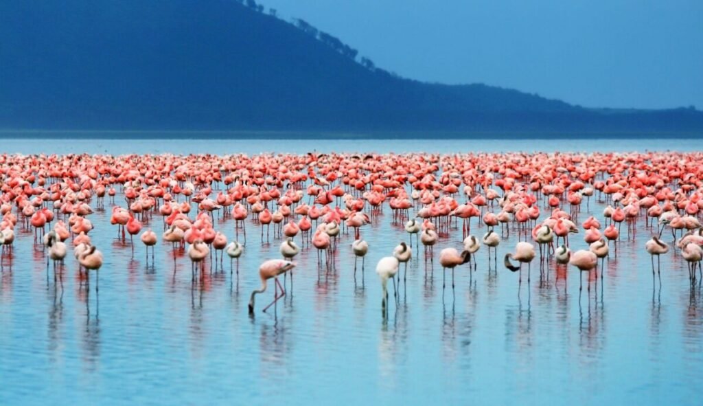 Lake Nakuru