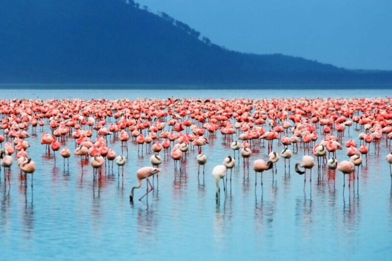 Lake Nakuru