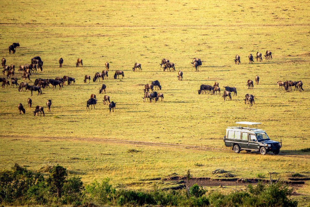 kenya holiday