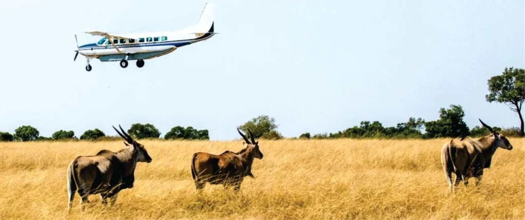 Flying in Mara