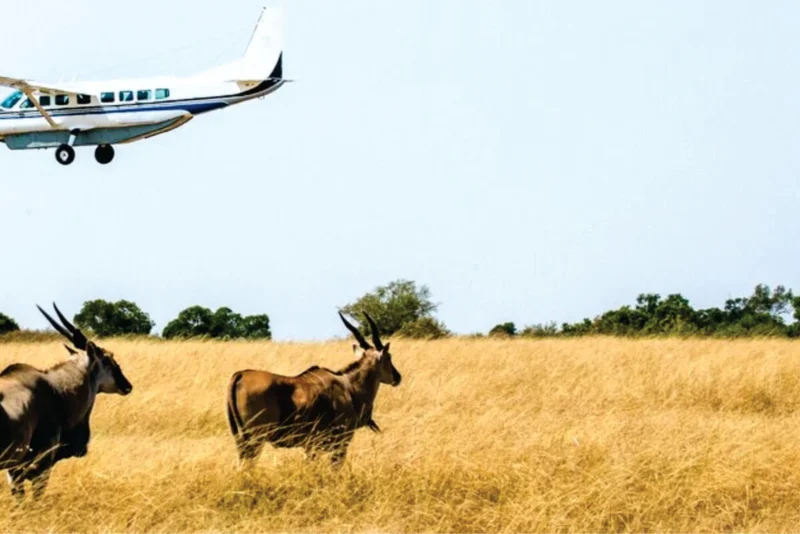Flying in Mara