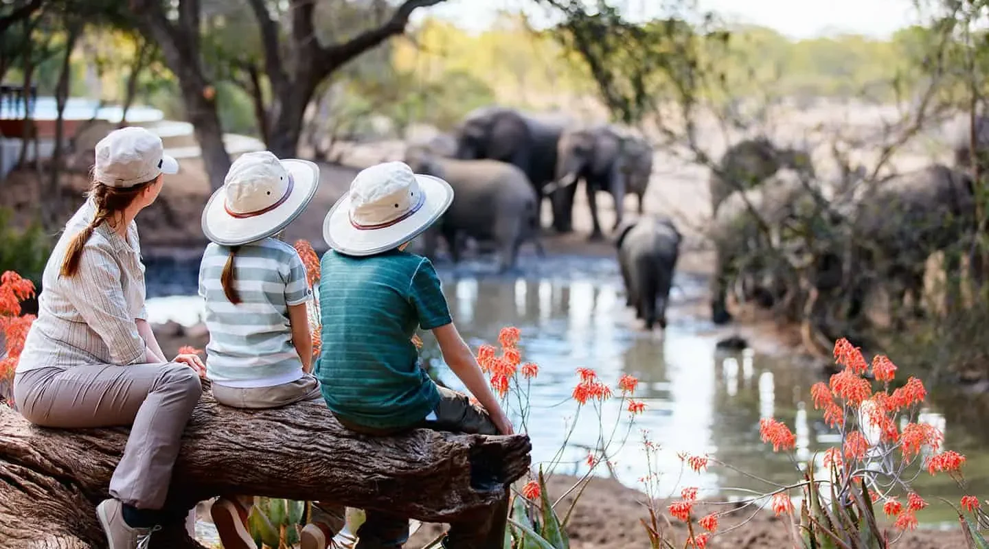Kenya Family safari Experience