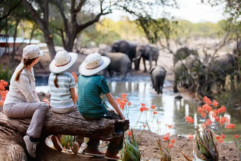 Kenya Family safari Experience