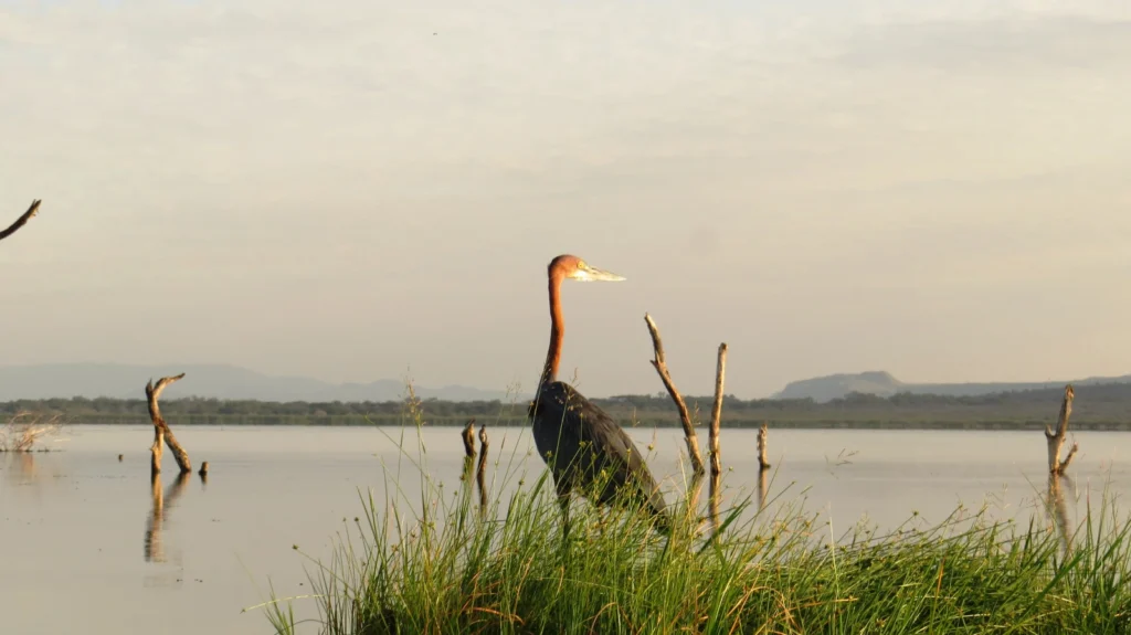 Day Trip Lake Baringo enroute Lake Bogoria