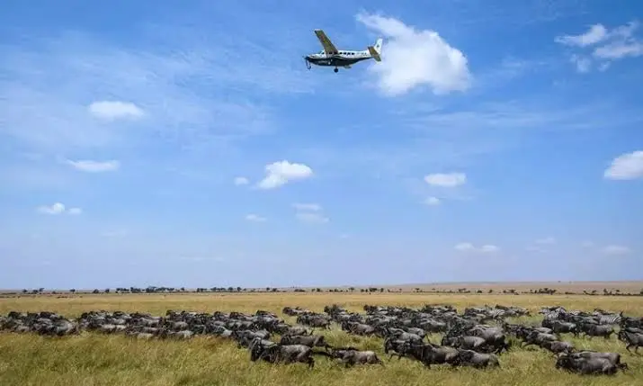 Mara Fly-in Safari