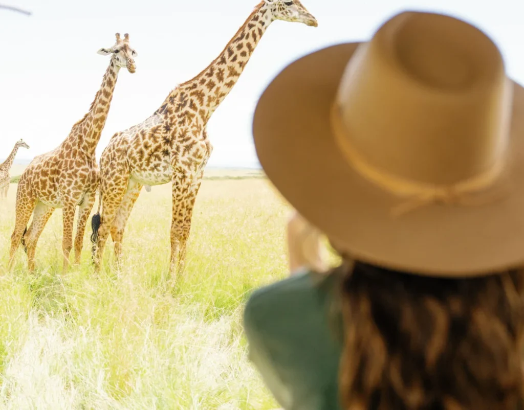Mara Game Drives