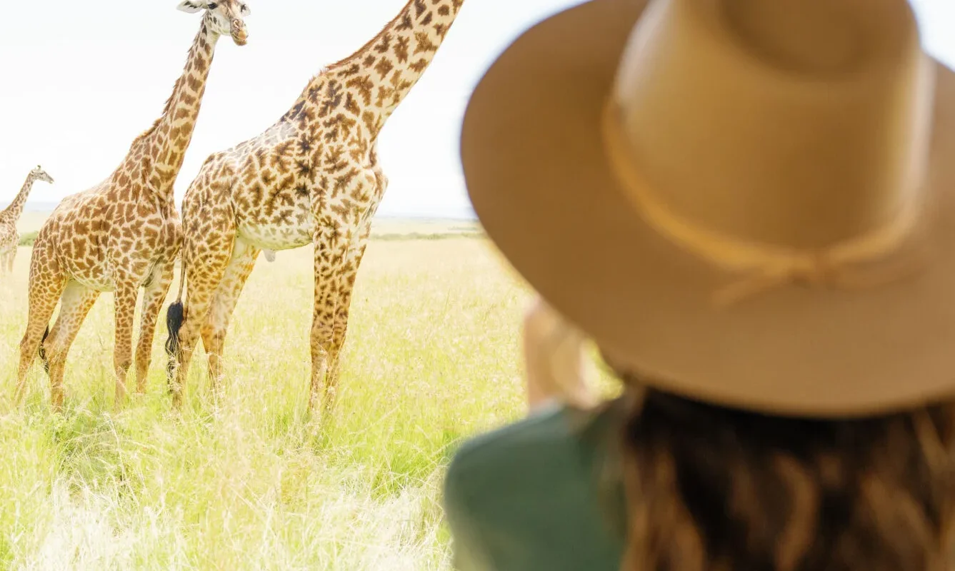 Mara Game Drives