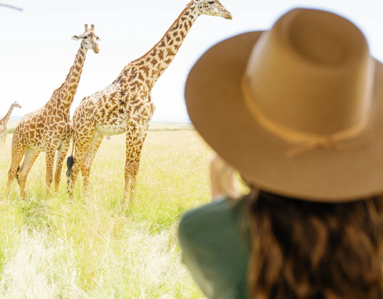 Mara Game Drives