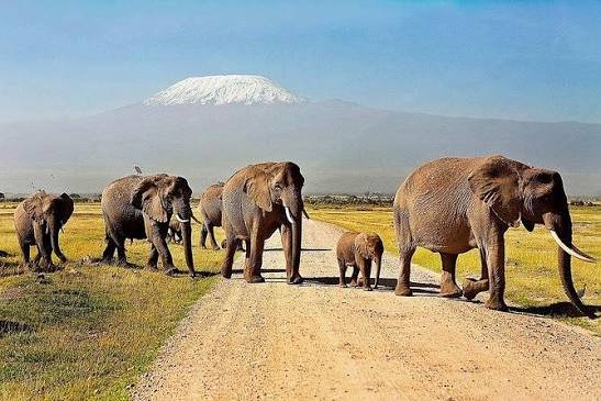 Nairobi to Amboseli National Park