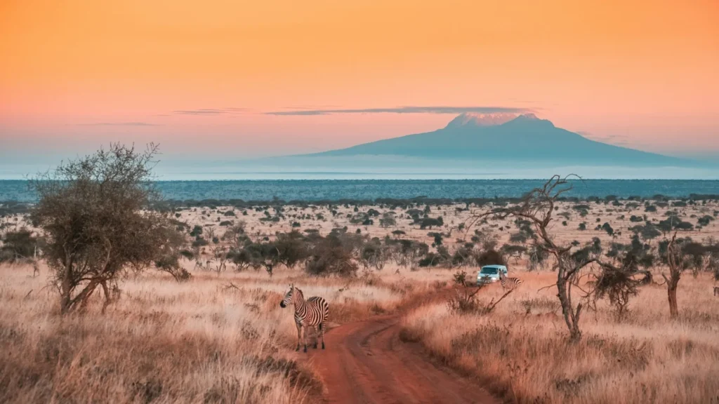 Full-Day Tsavo West National Park