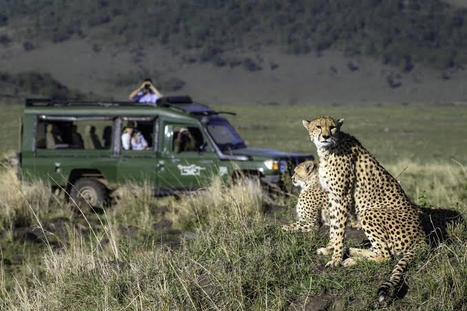Amboseli National Park – Tsavo East National Park
