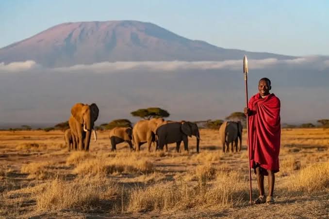 Lake Naivasha – Amboseli National Park