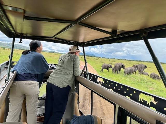 Travelers in a 4x4 Land Cruiser with a pop up roof