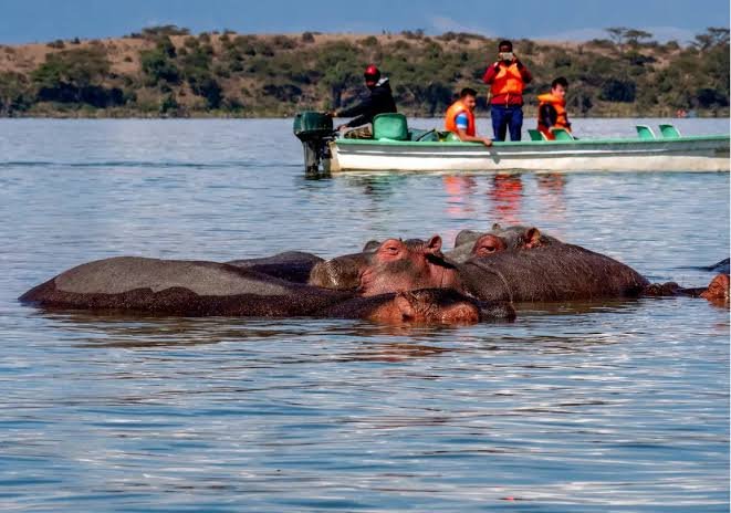 Lake Nakuru – Lake Naivasha
