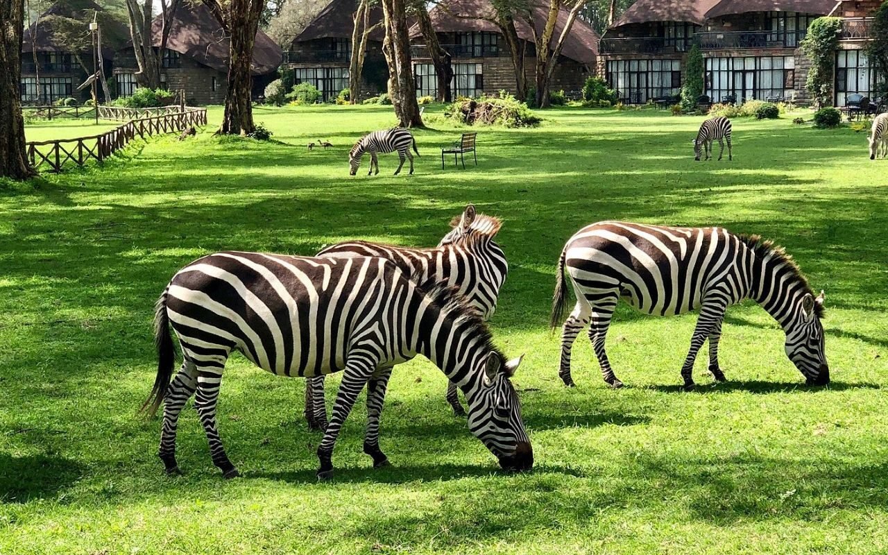 lake naivasha sopa resort