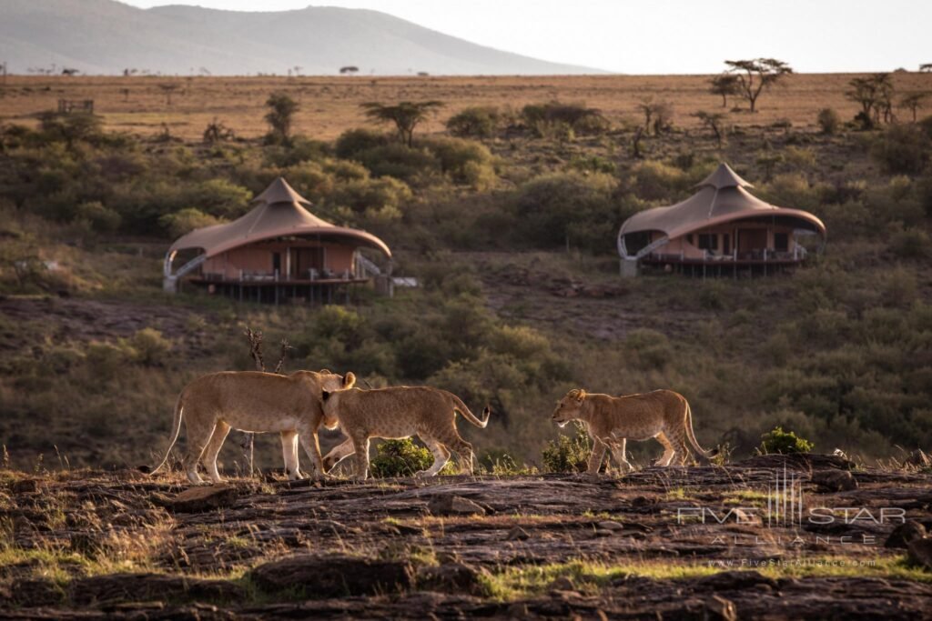 Mahali Mzuri Camp