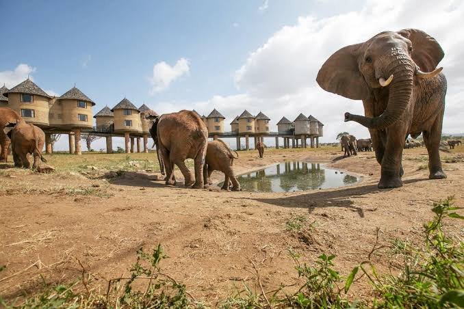 Taita Hills – Tsavo East National Park