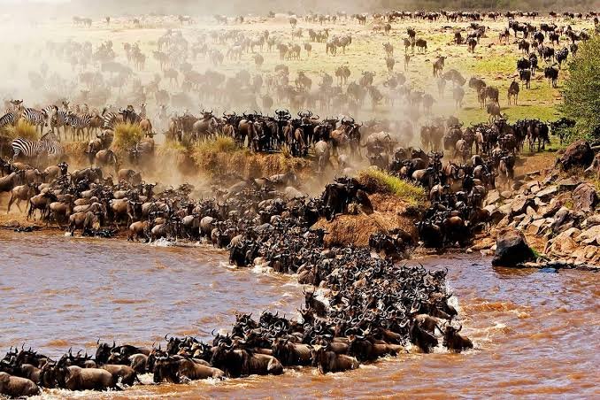 Maasai Mara National Reserve