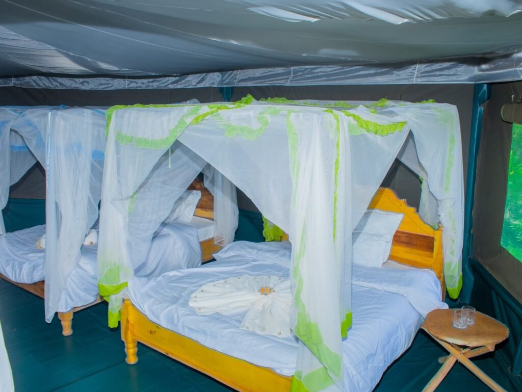 Nyati Safari Camp