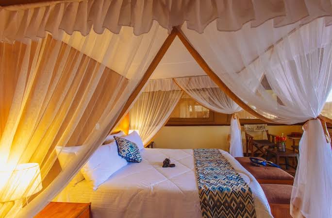 Sentrim Tsavo