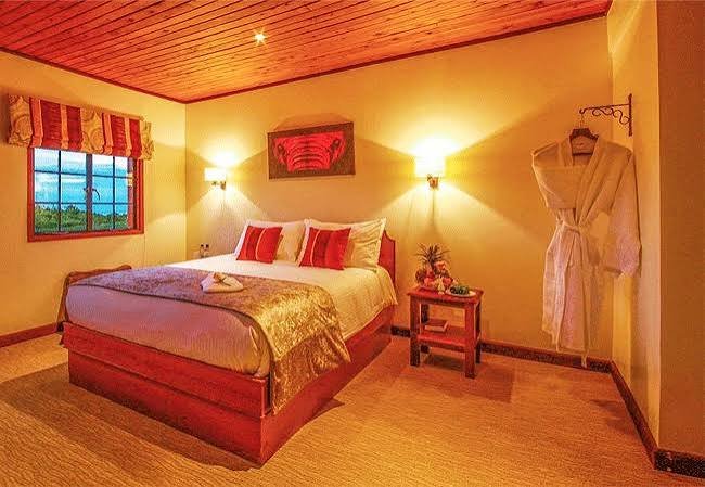 The Ark Lodge