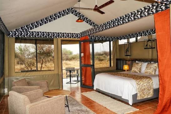Prato Safari Camp