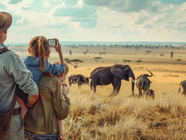 Kenya Safari Tours