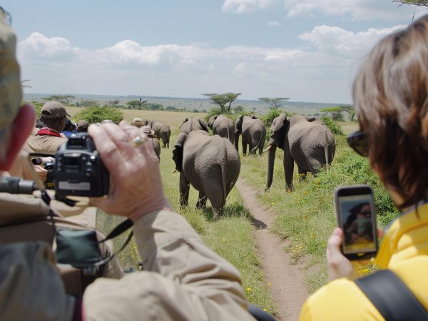 creatures-wonder-wildlife-viewing-photo
