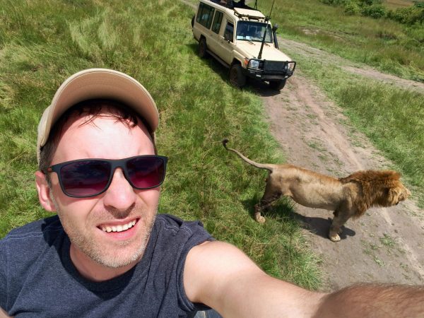 A guy takes a selfie with a wild lion during an African safari in nature. A man is photographed with wild animals in Kenya.