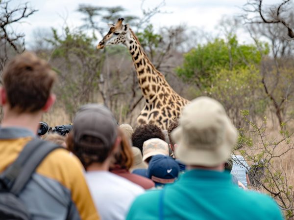 harmonious-habitats-wildlife-viewing-photo