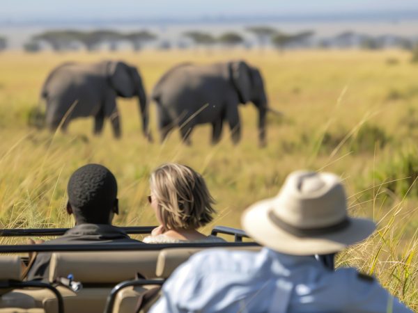 Image description:  A group of people on a safari in the savanna. They are looking at a herd of elephants in the distance.